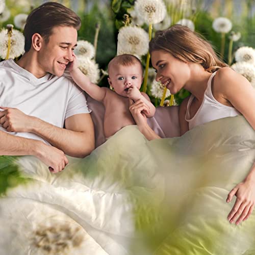 Duvet Covers Set California King Dandelions Growing - Soft And Breathable Microfiber Comforter Bedding Set With Zipper Closure For Kids Women Men, 1 Duvet Cover 2 Pillowcase #TOP5