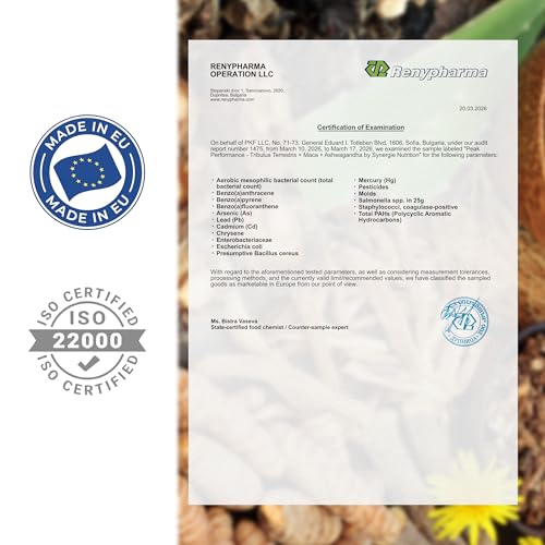 Tribulus Terrestris Fruchtextrakt mit 90% Saponinen, Ashwagandha 10:1, Schwarze Maca 20:1, Zink, Selen, Calcium & Vitamin D – 160 Kapseln – Nahrungsergänzungsmittel von Synergie Nutrition