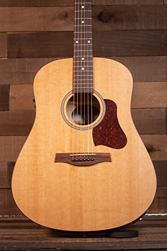 Seagull 6AR[XeBbNM^[AEAi`At(052011)