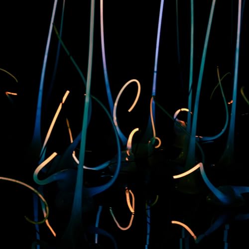 Glow in the Dark Night Light Glow in the Dark Night Light