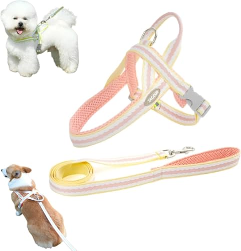 Bianstar2025ŐVAɗDn[lX [ht 킢 pn[lX h~ ɂ y E֗ p Ȃ ߉\ hbO ybgpi p SȂ ʋC bV ^ ^ ^ Č