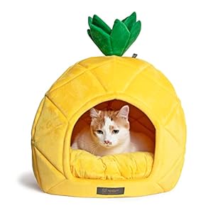 NANDOG Insta Fun Specialty Dog and Cat Bed Collection (Pineapple, Prive 18 in)