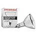 Sylvania Metal Halide 39W PAR30LN Light Bulb, 1 Pack