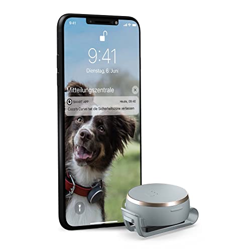 GPS Tracker, Leichter Haustiertracker