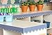 Teacher Created Resources Stone Blue Scalloped Border Trim