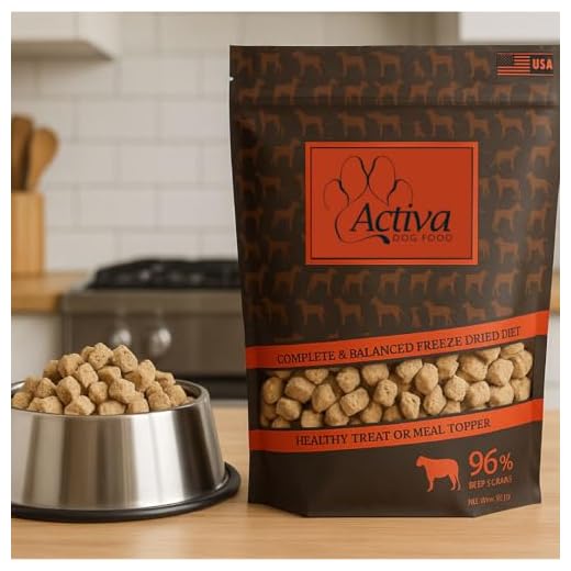 Activa Complete & Balanced Freeze Dried Dog Food, Healthy Treat or Meal Topper, Made in USA (Beef)