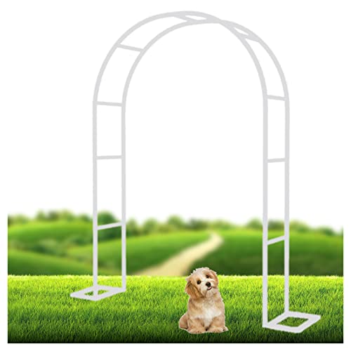 Arche de jardin en métal pour plantes grimpantes, support de treillis de rose, tonnelle de fleurs d'extérieur – Disponible en blanc tailles : 120 x 230 cm, 180 x 220 cm, 240 x 220 cm
