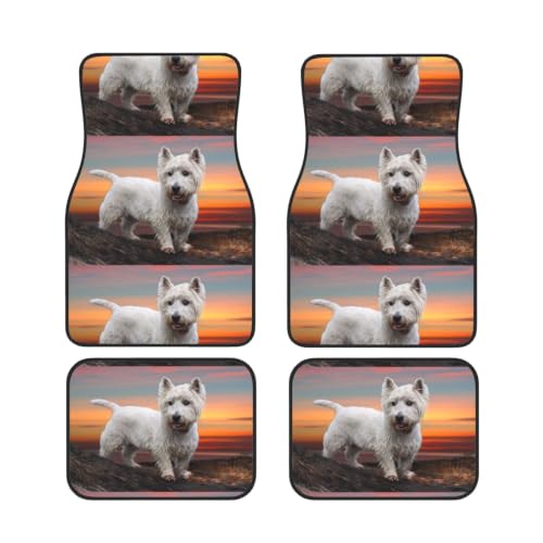 Alfombrillas de coche antideslizantes para evitar suciedad de mascotas juego de neopreno