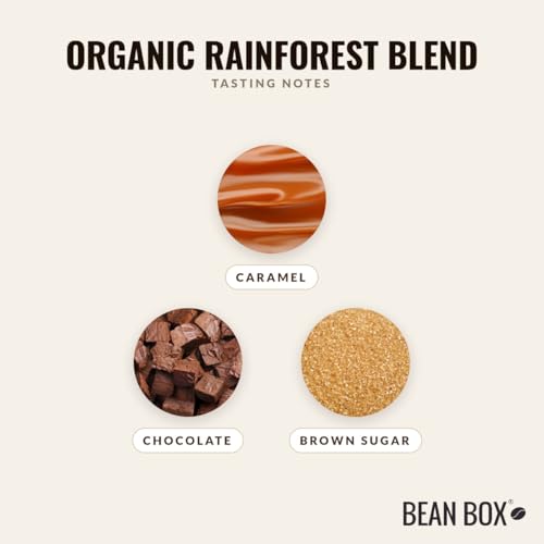 Organic Rainforest Blend Café en Grano 310 gramos miniatura 3