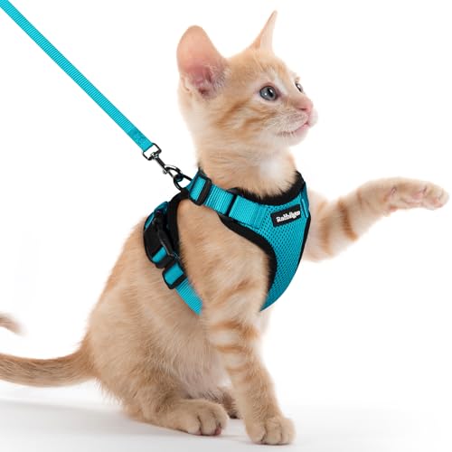 Image of rabbitgoo Cat Harness and Leash Set, Escape Proof Vest, Teal | Soft Breathable Mesh, Easy Adjustable Fit, Snap Buckles, Sturdy Clip, Reflective Strips, for Kittens & Small Cats Walks, Xxs
