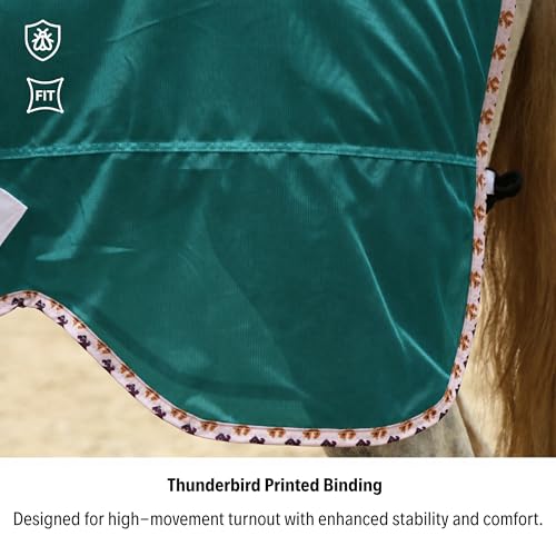 Image of BARN & STABLE Breathable and UV Protective Tear-Resistant Mesh Horse Fly Sheet Comfy Equine Summer Sheet with Removable Web Leg Straps (Evergreen, 75 in)