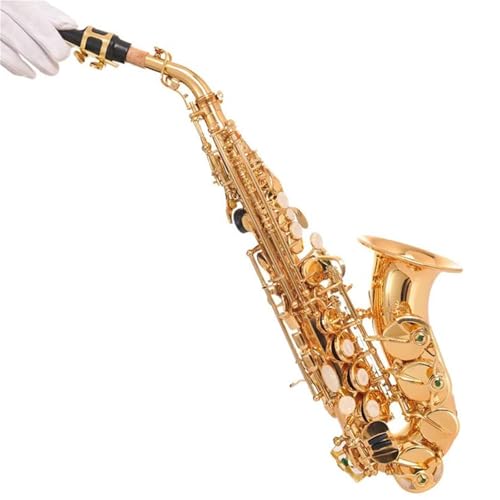 �T�b�N�X�y�� �\�v���m�T�b�N�X BB �x���g�\�v���m�T�b�N�X�y��v���t�F�b�V���i�����S�Ҋy��{�b�N�X�t��