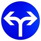 ORIGINAL Verkehrszeichen 214-30 * Vorgeschriebene Fahrtrichtung rechts oder links * Verkehrsschild Schild Strassenschild Schilder StVO Gebotsschild Straßenzeichen RAL Gütezeichen 600 mm 60 cm blau