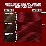 Garnier Hair Color Nutrisse Ultra Color Nourishing Creme, R2 Medium Intense Auburn (Goji Berry) Red Permanent Hair Dye, 1 Count (Packaging May Vary) - Image 4