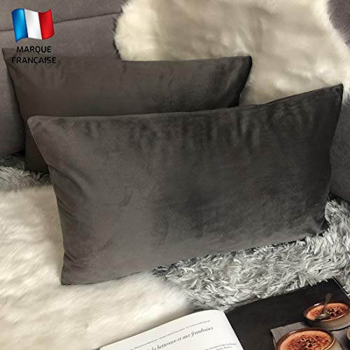 Douceur De Plumes Lot de 2 Housse de Coussin décorative Gris Anthracite Velours 30x50 cm Uni, Taie d'oreiller Rectangulaire Doux et Moderne, Décoration Salon...