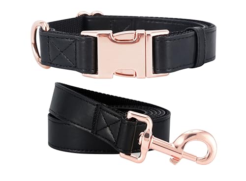 Set collare e guinzaglio per cani. Pelle vegana morbida e facile da pulire, con fibbia in metallo oro rosa, per cani di taglia piccola, media e grande (XS (20,3 - 30,5 cm), nero)