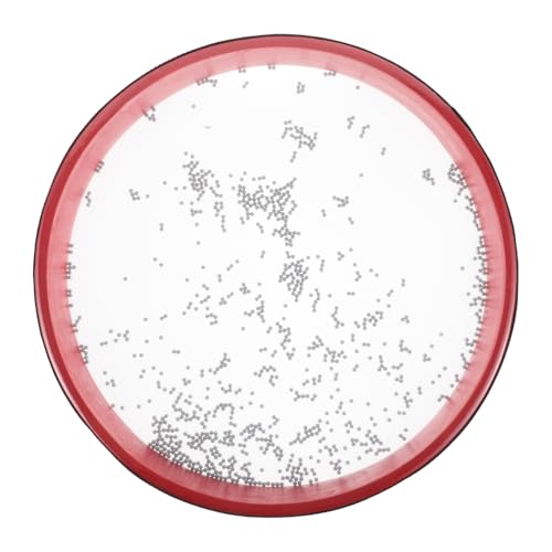 GOOHOCHY Ocean Drum Prop Lightweight Wave Bead Drum for Music Education and Early Development Portable Percussion Instrument for Enhances Musical Sensitivity and Interest