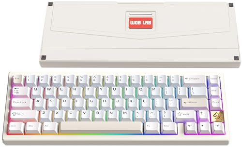 WOBKEY Zen 65 65%�N�C�b�N�����[�X���C�����X���J�j�J���L�[�{�[�h RGB�t�� CNC�A���~�j�E���P�[�X �z�b�g�X���b�v�\ VIA�Ή� BT/2.4G/USB-C �Q�[�~���O�L�[�{�[�h Mac/Windows�p (�E���g���z���C�g�S�[���h)