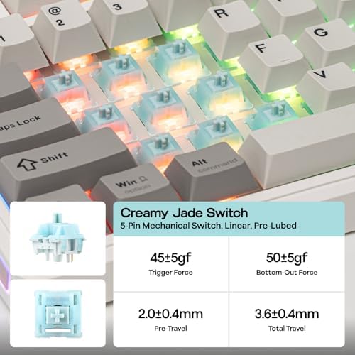 EPOMAKER TH80 V2 75% Wireless Mechanical Gaming Keyboard, 8000mAh & 2.4G/BT, Mac Modifier, RGB Backlit & Side Light, Programmable Keys & Knob, Creamy Keyboard for Mac/PC (White, Creamy Jade) - 4