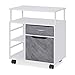 HOMOOI Armadietto Portadocumenti con 2 Cassetti Archiviazione Mobiletto Schedario Mobile con Ruote Scomparti Aperti Cassettiera per Ufficio Studio Casa Bianco 60 * 40 * 70,5 cm H04E4061A