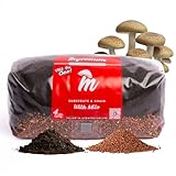 Mycelium