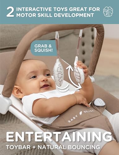 Image of Baby Delight Highland Organic Baby Bouncer | Infant | 0 - 6 Months | 3-Position Recline | Organic Mocha