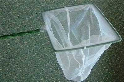 small fish tank net