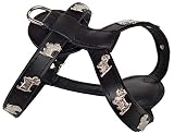 *Westie* HUNDEGESCHIRR - Geschirr, Brustkorb 42-47cm oder 50-56cm Echt Leder- SCHWARZ (Brustkorb 50-56cm)