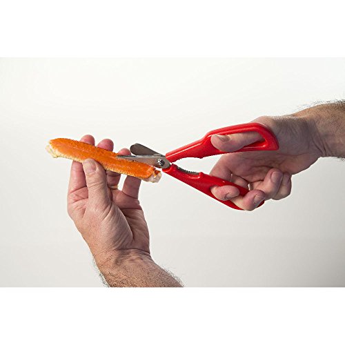 Tesoura Para Frutos do Mar Desmontável Fackelmann Vermelho