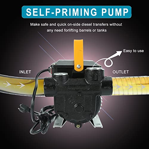 Caqeg YB0006 110V Ac 550W Self Priming Electric Transfer Pump, 60L/Min Oil Transfer Pump Fuel Diesel Kerosene Biodiesel Pumps thumb #4