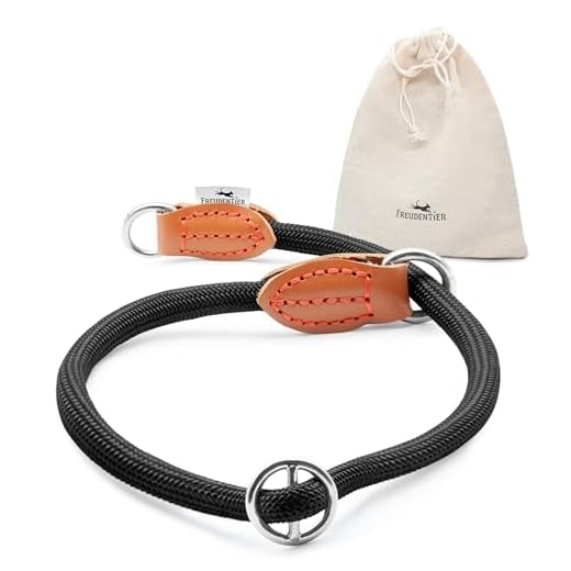 Robustes Zugstopp Halsband für Hunde