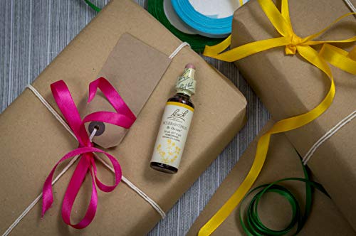 RESCUE Bach Scleranthus Flower Essence for Decisiveness #TOP27