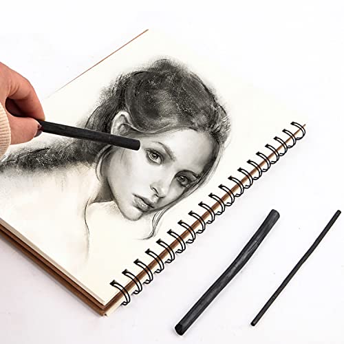 Hjyzy 5-8Mm Willow Charcoal Sticks For Sketching And Drawing Art Supplies For Professionals Students And Hobbyists 25Pcs #TOP4