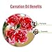 Salvia Carnation Oil Cosmetic Grade (500 ml / 16.9 fl oz) - Aromatic Floral Oil for Skin Hair & DIY Beauty Formulations
