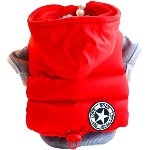 ISUPY ybg xXg tH~  R[g WPbg _E m hbOEFA Vc h g ۉ ^ ^ ˊO^ Uo AE^[ 2_Zbg (M,bh)