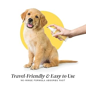 Purifying Hair & Body Mist - Cleanse, Detoxify, Detangle, Deodorize, Shine - Dog Grooming Conditioner Spray - Nourish Skin & Coat - Aloe Vera, Provitamin B5, Vitamin E - No-Rinse - 150ml Purifying Hair & Body Mist – Cleanse, Detoxify, Detangle, Deodorize, Shine – Dog Grooming Conditioner Spray – Nourish Skin & Coat – Aloe Vera, Provitamin B5, Vitamin E – No-Rinse – 150ml
