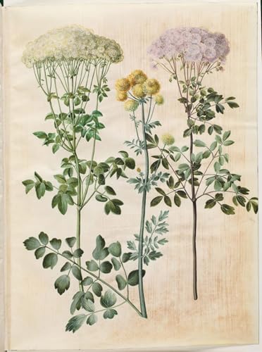 Póster de lienzo de Hans Simon Holtzbecker para un dormitorio elegante de 60x90cm