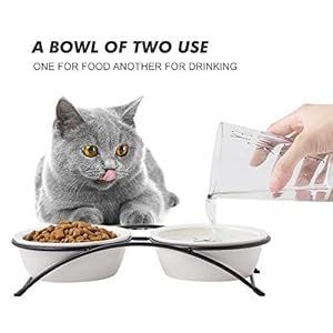 Elevated Cat Bowls, Dog Bowl, Ceramic Raised Cat Food Water Bowl Set with Metal Stand for Indoor Cats Small Dog, Prevent Neck Pain,12 Ounces, Cute Paw Pattern
