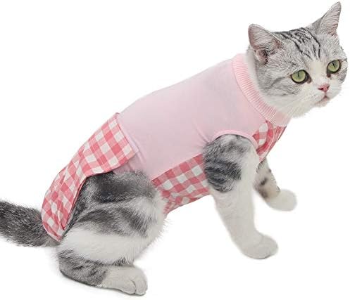 kitten cone after spay