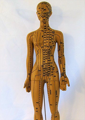 Human Female Acupuncture Anatomical Model with Acupuncture Points, Bronze Color, Height 18 Inch