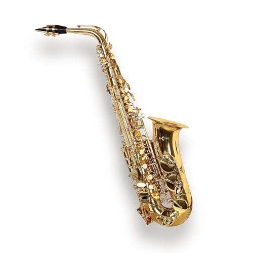 ARCTIC AR SRB-PRO Model Alto Saxophone with Case, Featuring a Wor...