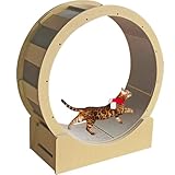 キャットホイール 猫の車輪