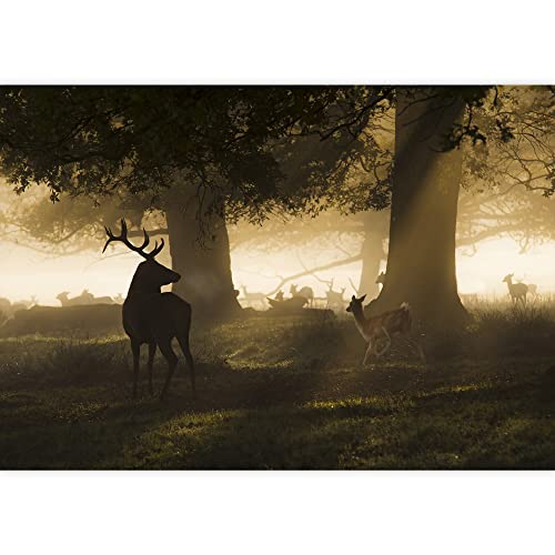 Wall26 - Male Red Deer Looking A Group Of Fallow Deer Running - Removable Wall Mural | Self-Adhesive Large Wallpaper - 100X144 Inches #TOP1