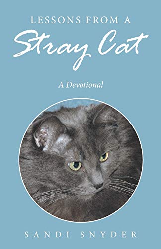 Lessons from a Stray Cat