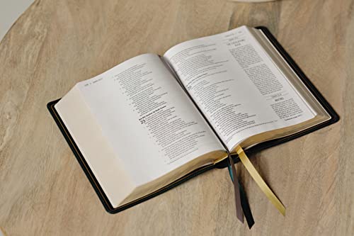 Zondervan 231328 The Jesus Bible Artist Edition, Niv, Genuine Leather thumb #4