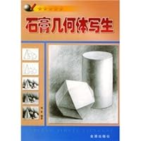 Plaster Geometry Sketch (Chinese Edition) 7508214552 Book Cover