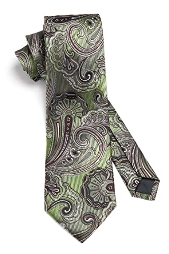 Image of HISDERN Ties for Men Paisley Tie and Pocket Square Woven Classic Floral Mens Ties Handkerchief Set Wedding Party Necktie