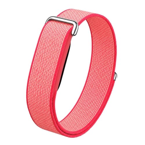 Image of Nylon Strap (Titanium Buckle) Compatible with Google Fitbit Air