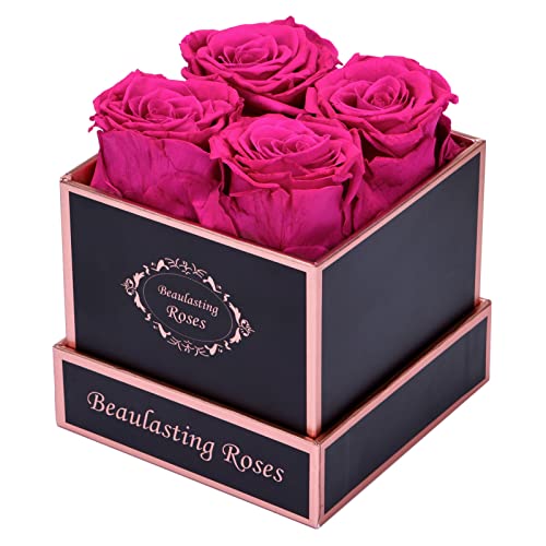 Beaulasting Roses Preserved Flowers for Delivery Prime 4-Piece Preserved Roses in a Box Eternal Roses Gifts for Her Mothers Day Valentines Day (Square Black Box, Hot Pink Roses)
