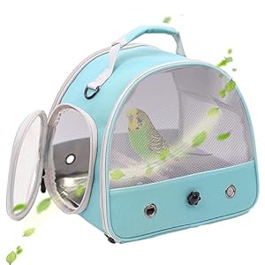 Bird Travel Cage, Portable Small Bird Parrot Parakeet Carrier with Standing Perch (NO Metal Tray), Side Access Window Collapsible(Green, Mesh Windows)